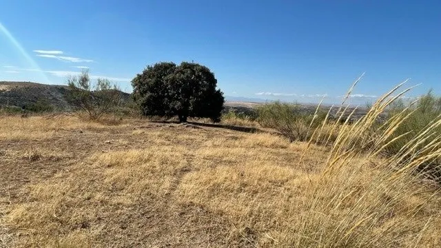 TOLEDO , ZONA DE LA POZUELA , SUELO URBANO DE 8120M2 — 10