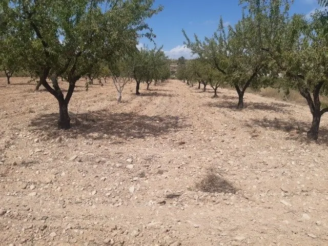 Se vende terreno de 16000 metros — 12