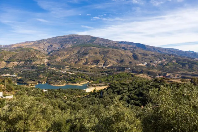 ¡Oportunidad única! Dos Fincas rústicas de mas de 15.000 m2 en total en Pinos del Valle. VENTA JUNTAS O SEPARADAS — 43