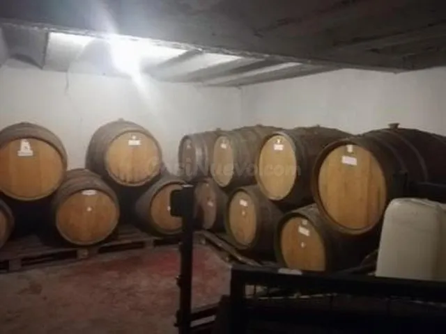 FINCA ECOLOGICA PREMIUM CON BODEGA - foto 4