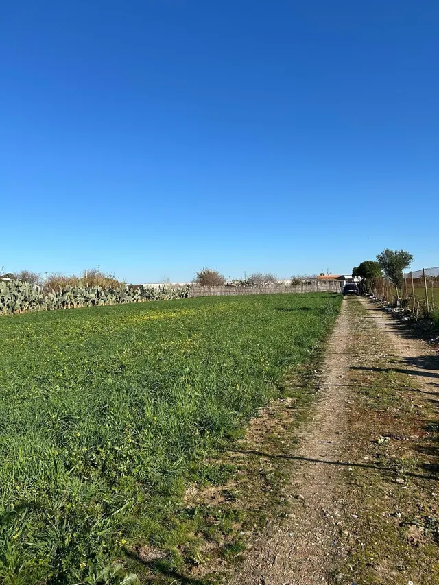 PARA LOS AMANTES DEL CAMPO Y NATURALEZA — 13