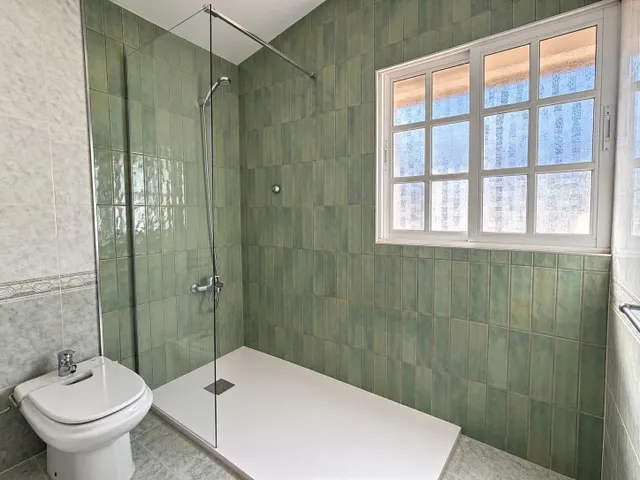 FINCA RÚSTICA CON VIVIENDA EN EL PALMITAL, STA. MARÍA DE GUÍA — 20