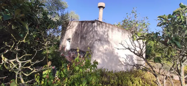 FINCA RÚSTICA CERCA DE LA POBLACIÓN DE AMPOSTA CON ANTIGUA E - foto 4