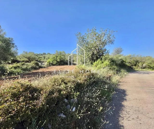 EXCLUSIVA PARCELA DE 17.000M2 EN SAN JORDI - foto 3