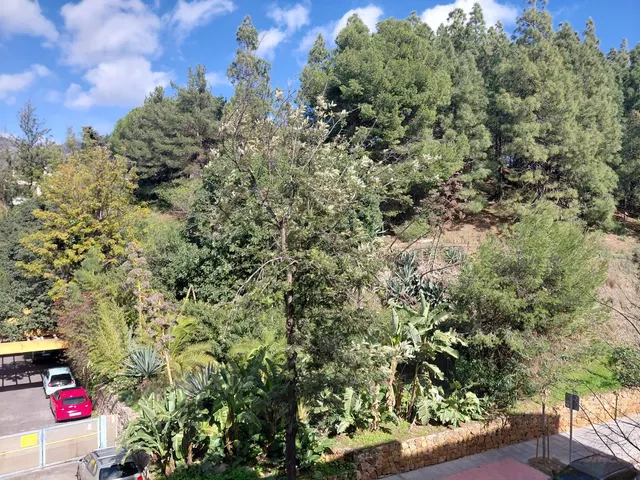 Apartamento 1 habitación 64m² en venta - Marbella — 20