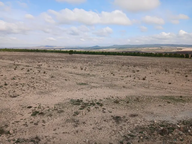 Parcela en venta - Yecla — 31