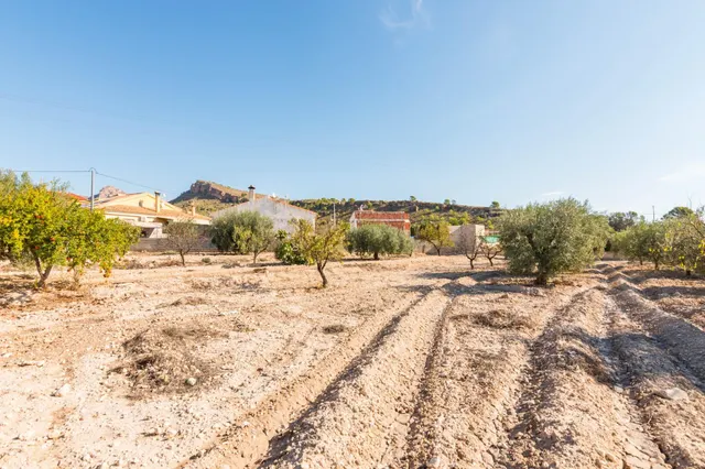 Finca rústica 4.180m2 de parcela con casa y piscina en las peñas (Fortuna) — 47