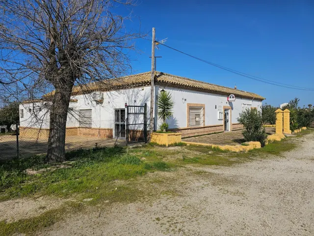 Negocio en Marchena: Zona Carretera de la Puebla de Cazalla - foto 2