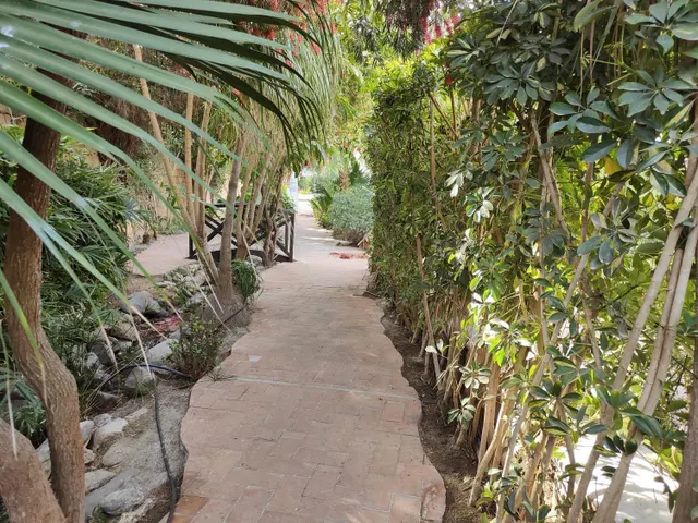 Piso 2 habitaciones 96m² en venta - Cotobro — 17