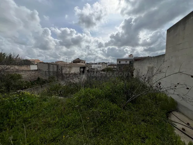 Amplia Parcela con Potencial de Construcción en Muro - foto 3