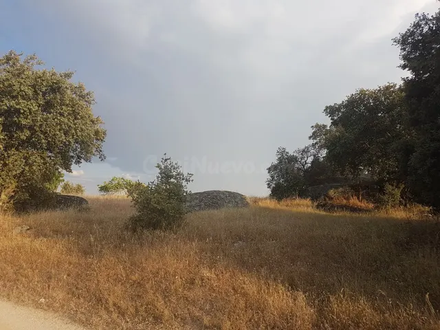 Terreno rural en venta - Alrededores - foto 4