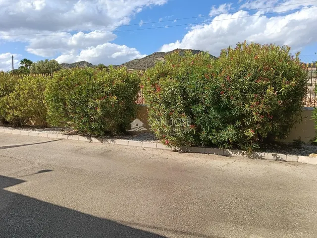 SE VENDE CHALET CON PISCINA EN BUEN ESTADO EN ASPE — 29