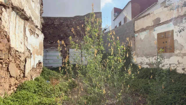QUIERES UNA PARCELA EN EL CASTILLO DE SAGUNTO...? — 7