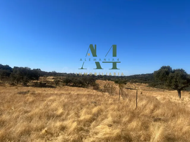 Finca de Corcho con Casa en provincia de Cáceres 🌳 - foto 3