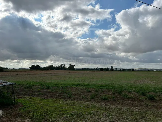 TERRENO EN VENTA CON CASAS, NAVES, TRASTEROS, MAQUINARIA... - foto 3