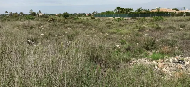 TERRENO EN MAITINO 11.333M2