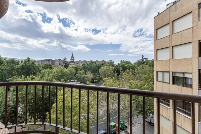 Pisazo en paseo del salón - Granada — 23