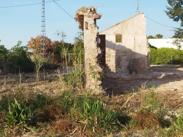 Parcela de venta en Catral - foto 3