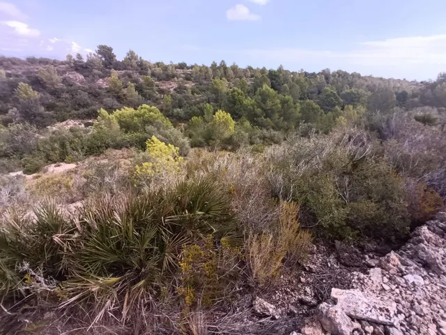 Finca Rústica en l'Ametlla de Mar: a Pocos Minutos del Mar — 8