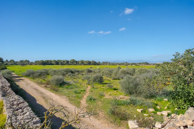Finca de 124 hectáreas con vivienda en Puigderrós, Llucmajor. — 13