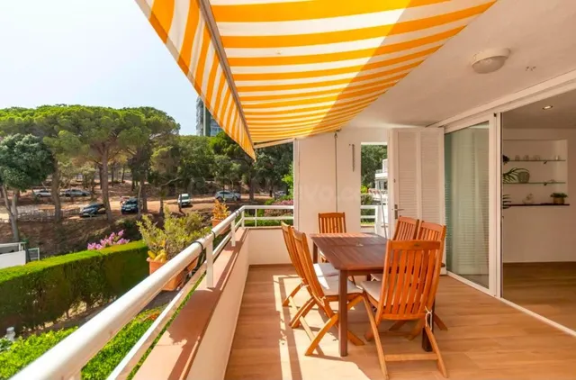 Apartamento reformado completamente nuevo y con licencia turistica en vigor — 3