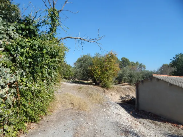 CASA DE CAMPO CON TERRENO URBANIZABLE EN ONTINYENT. — 32
