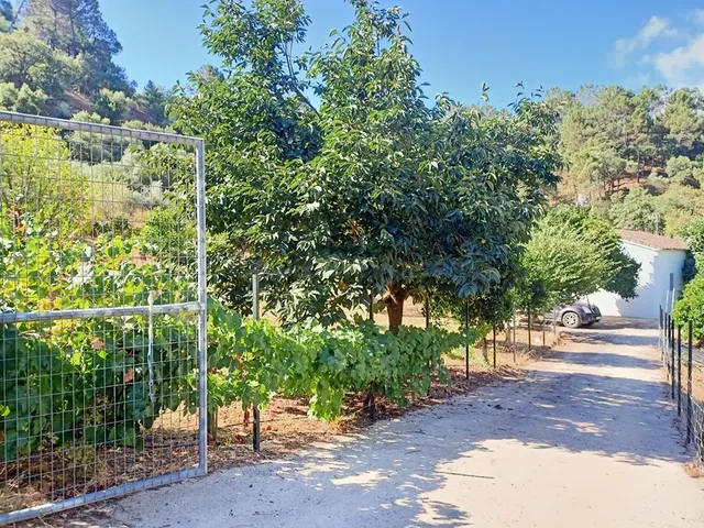 Casa de campo-Masía en Venta en Benastepal Málaga — 23