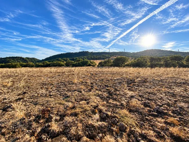 Finca rústica de 2,6 hectáreas en Alcalá de los Gazules – Amplio terreno con múltiples posibilidades. — 8