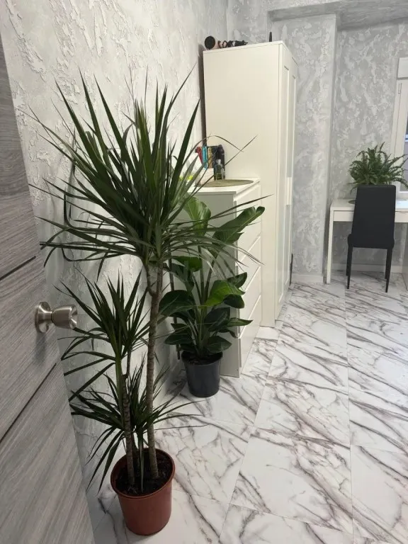 EXCLUSIVO APARTAMENTO REFORMADO EN MISLATA – ALTA RENTABILID - foto 2