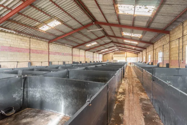 4 Naves, 21.000 m2 de Finca y Casa de 5 habitaciones en Serín, Gijón — 38