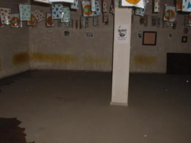 OCASIÓN — 6