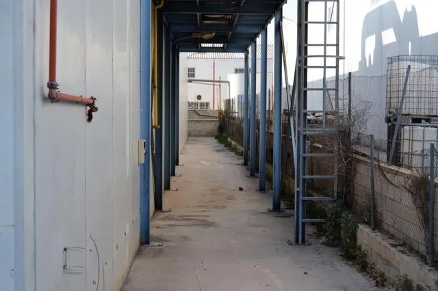 Nave en alquiler en polígono industrial Ceutí — 29