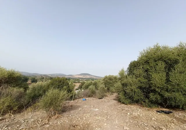 VENTA PARCELA ALREDEDORES DE EL BOSQUE - foto 3