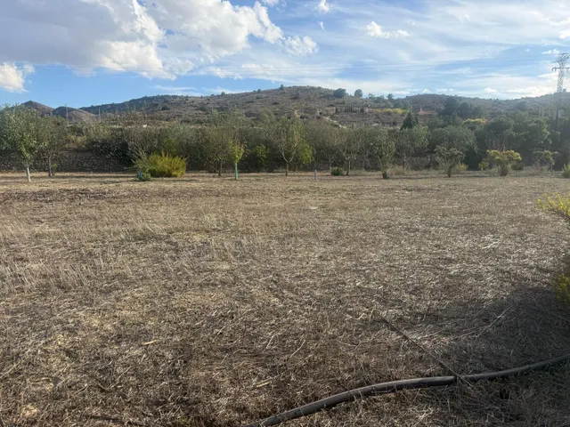 Terreno rústico en venta en tolomó – Aspe (Alicante) — 8