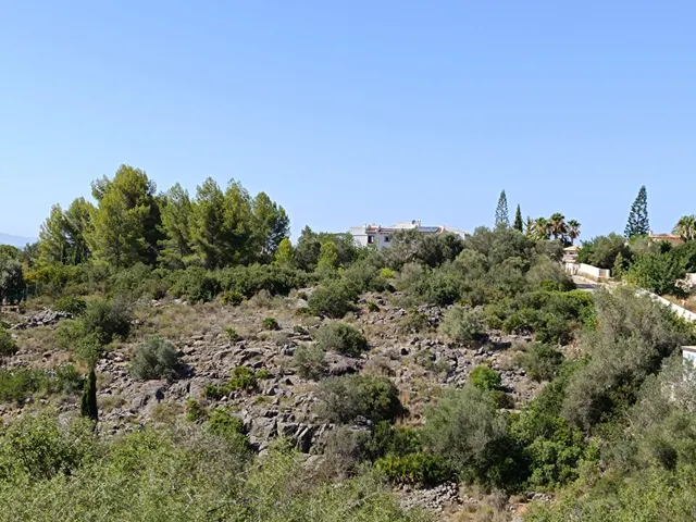 Excepcional terreno de 4.000 m2 en Montepego — 3