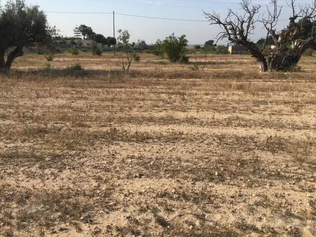 Parcela urbana de casi  30.000m2 en Elche - Zona Pena Las Aguilas — 12