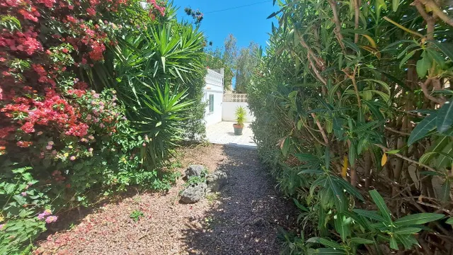 Villa 3 habitaciones 173m² en venta - Lomas de Cabo Roig — 12