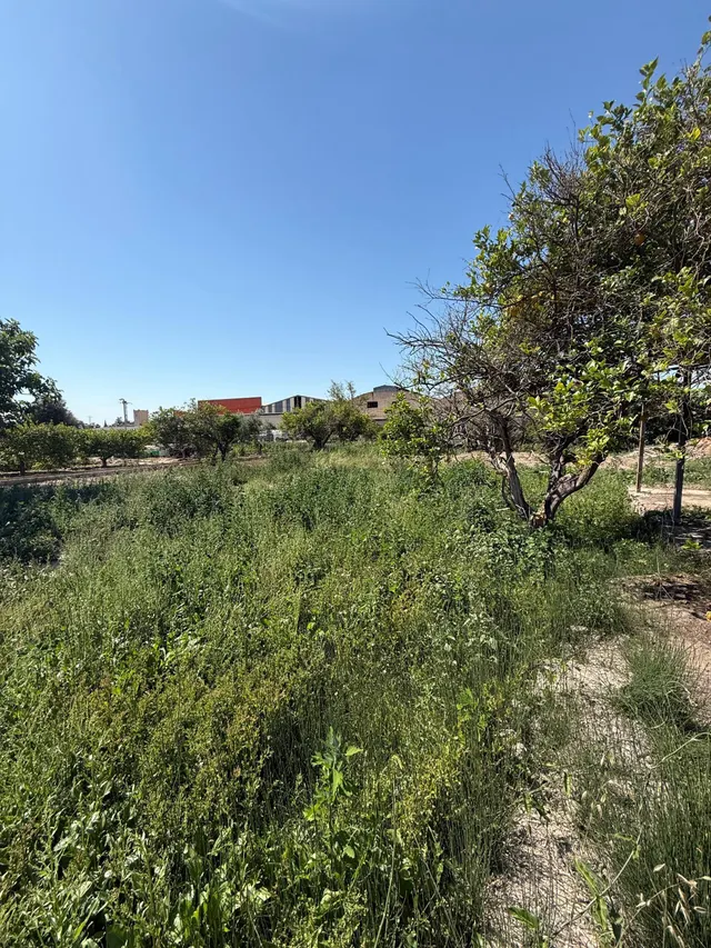 CASA PARA REFORMAR EN CARRETERA FUENSANTA CON PARCELA 1222M2. — 9