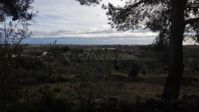 Terreno rural en venta - CORRAL DEL PITIQUILLO