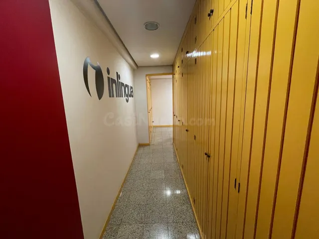 Despacho 268m² en alquiler - Paseo Zorrilla - foto 4