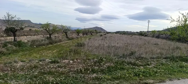 Terreno Rústico en Hondon de las Nieves - Zona BAYON - foto 5