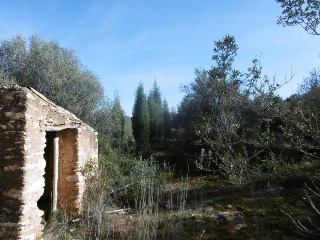 MASIA PARA REFORMAR  CON ALMACENES EN UNA FINCA DE 10 HECTÁREAS — 20