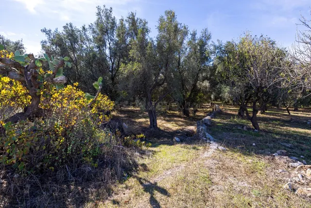 FINCA RUSTICA EN LA VEGUETA, PINOS DEL VALLE!! - foto 3