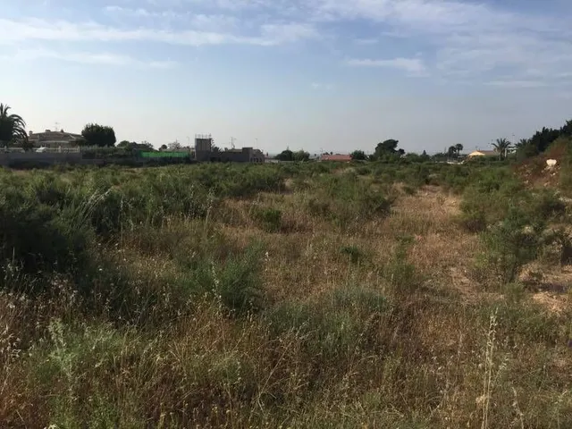 Parcela urbana de casi  30.000m2 en Elche - Zona Pena Las Aguilas — 7