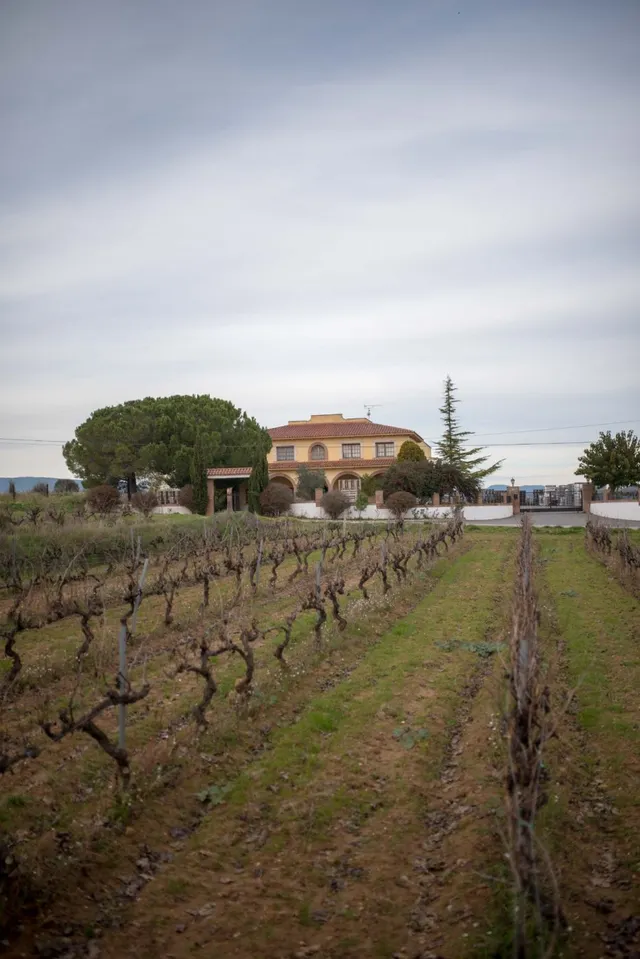 En venta Bodega en el Penedès. — 11