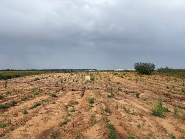 Terreno rural en venta - Andalucia