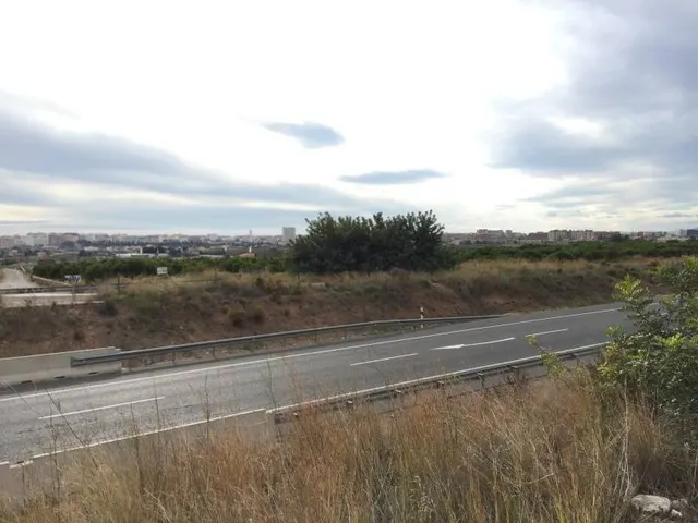 Dos parcelas junto a la variante de la N-340 en Castellón IDEAL PARA INVERSION, SUELO NO URBANIZABLE — 15
