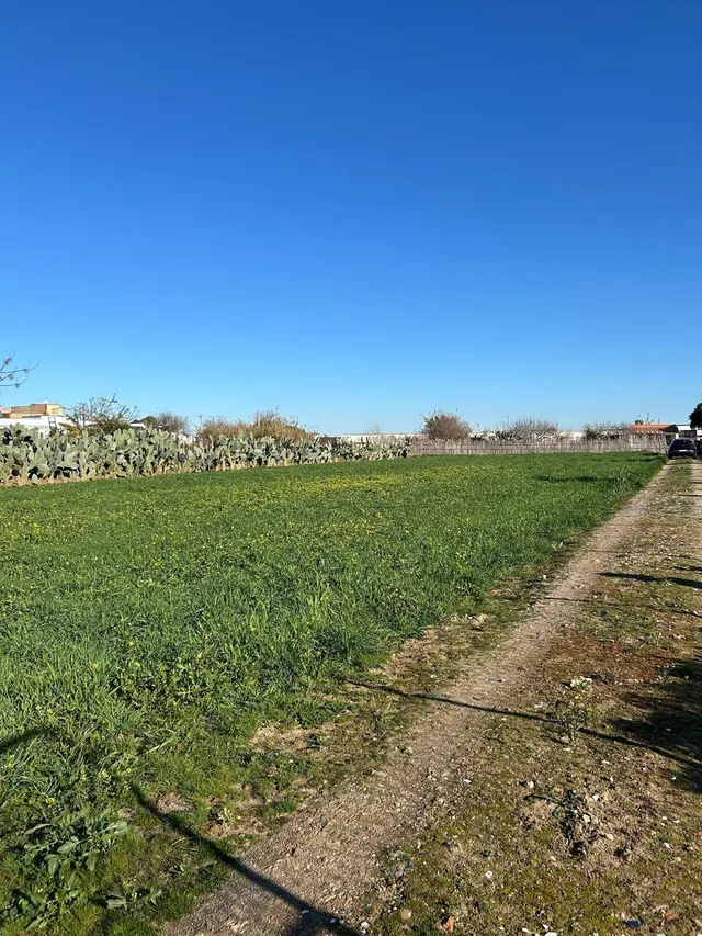 PARA LOS AMANTES DEL CAMPO Y NATURALEZA — 11