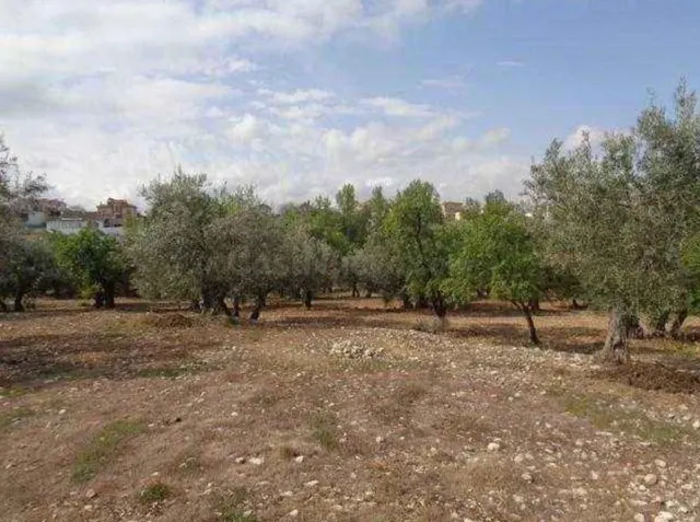 Venta de terreno en Gojar. - foto 2