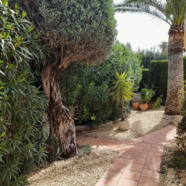 Villa 6 habitaciones 178m² en venta - Comunidad valenciana — 23